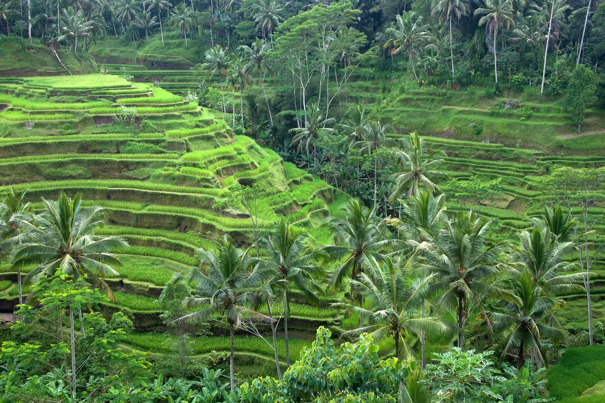 Kuta, Bali